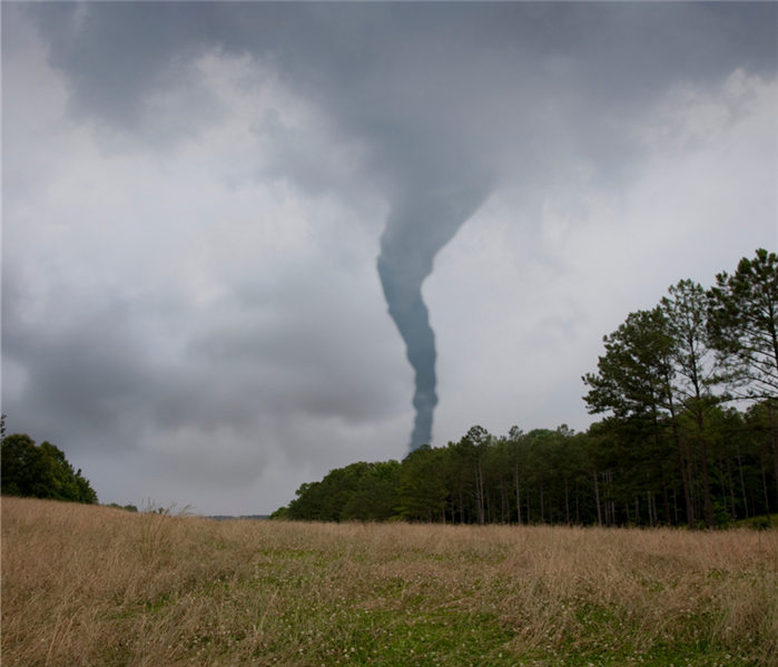 tornado in open field